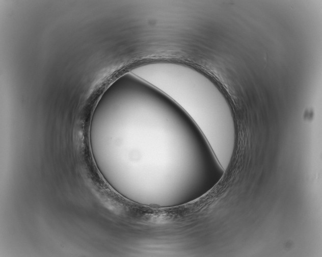 X0000090700688200707200929