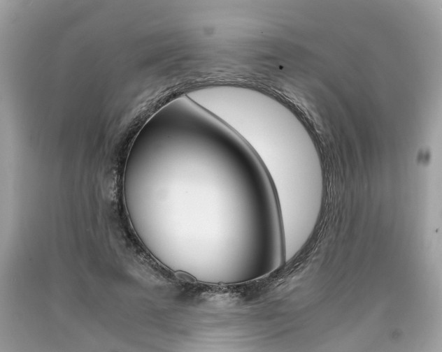 X0000090700689200707200929