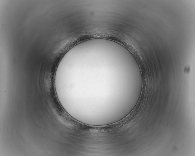 X0000090700690200707200929