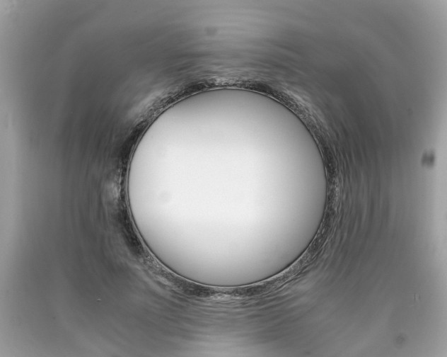 X0000090700691200707200929