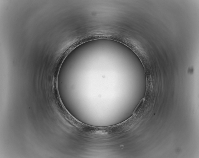 X0000090700692200707200929