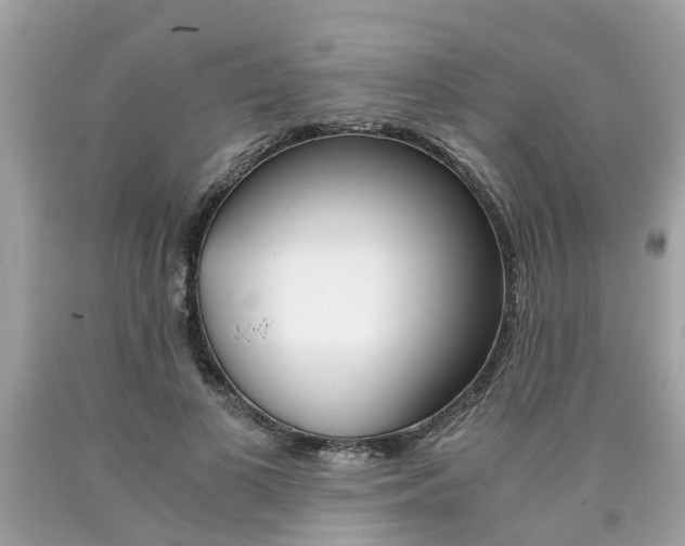 X0000090700693200707200929