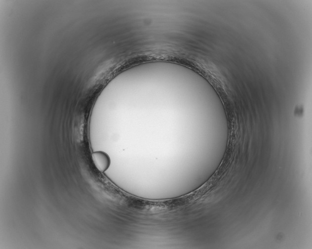 X0000090700694200707200929
