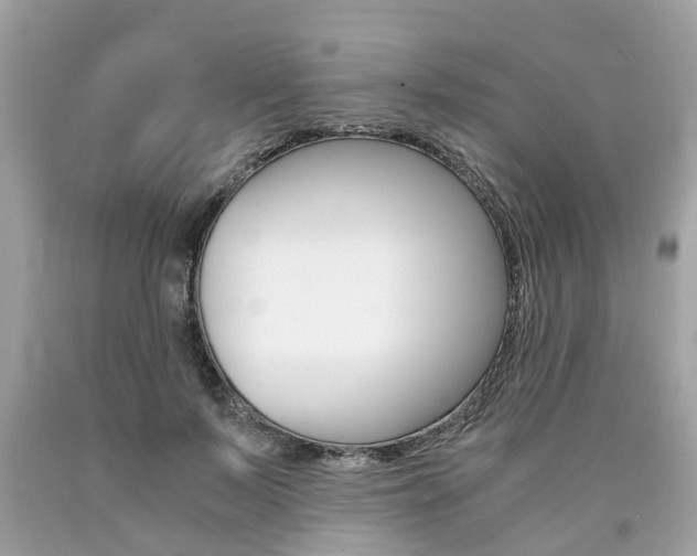 X0000090700695200707200929