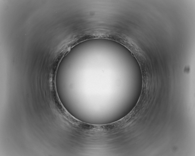 X0000090700696200707200929