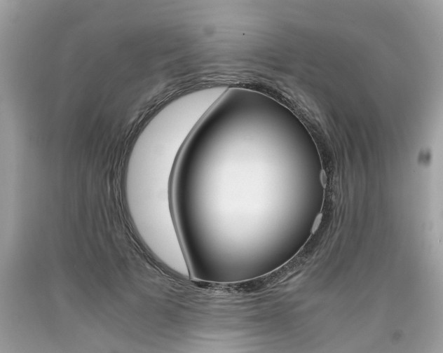 X0000090700697200707200929