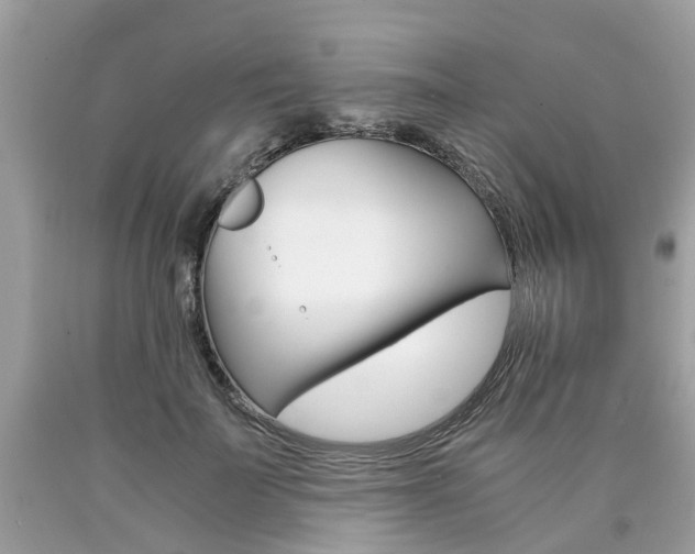 X0000090700699200707200929