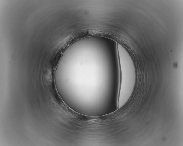 X0000090700700200707200929