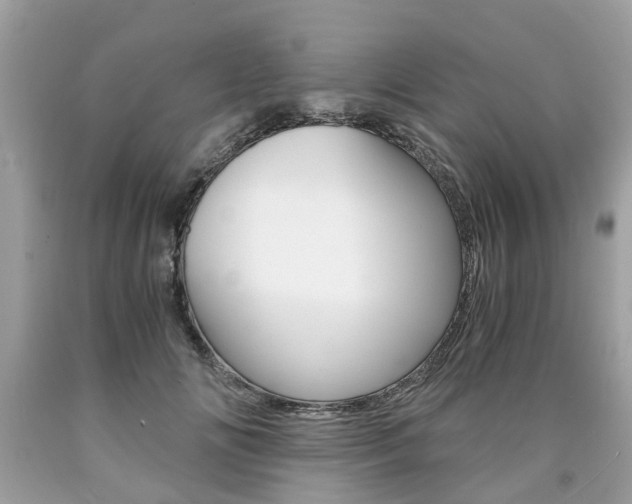 X0000090700702200707200929