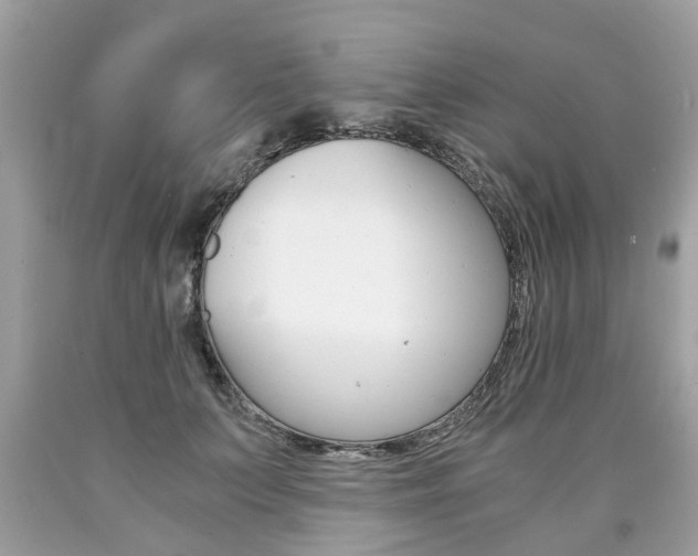 X0000090700703200707200929