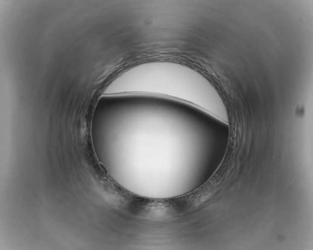 X0000090700704200707200929
