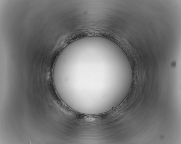 X0000090700706200707200929