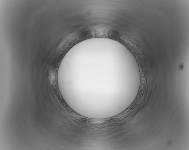 X0000090700709200707200929