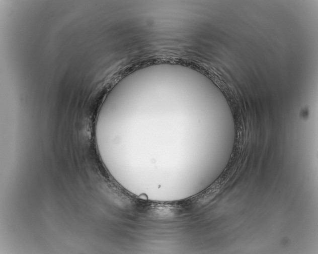X0000090700710200707200929