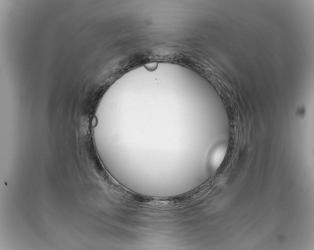 X0000090700711200707200929