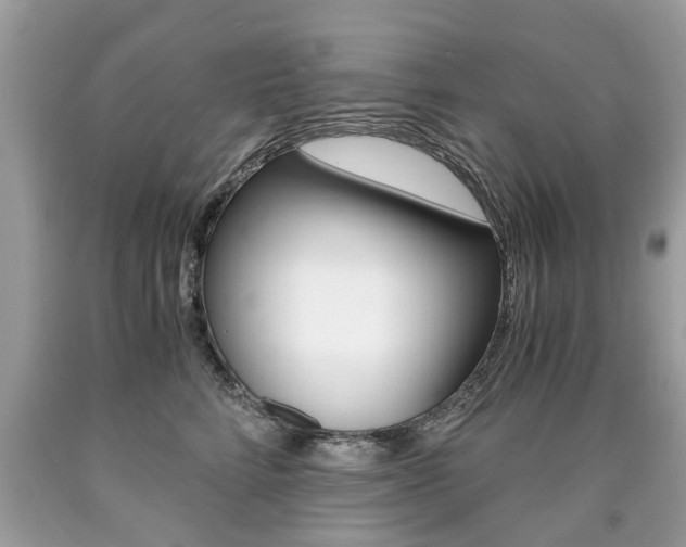 X0000090700712200707200929