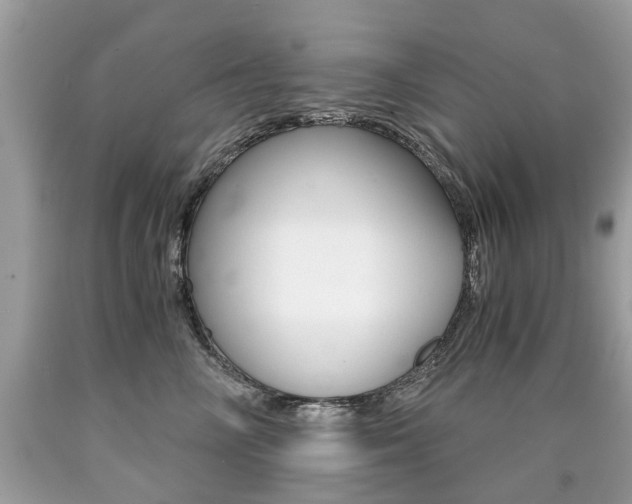 X0000090700714200707200929