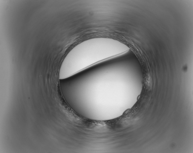X0000090700715200707200929