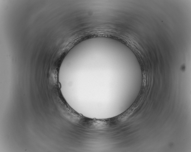 X0000090700718200707200929
