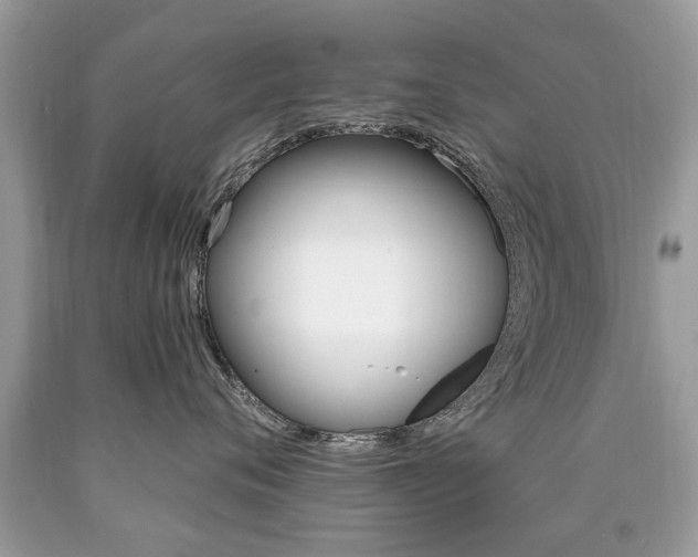 X0000090700720200707200929
