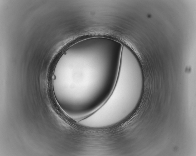X0000090700722200707200928