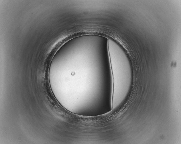 X0000090700723200707200928