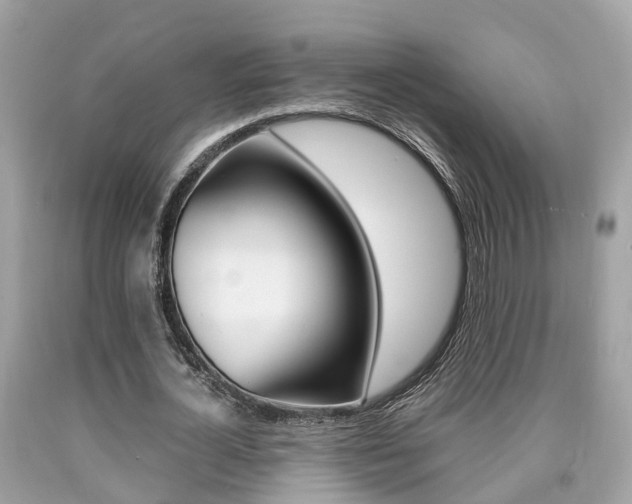 X0000090700724200707200928