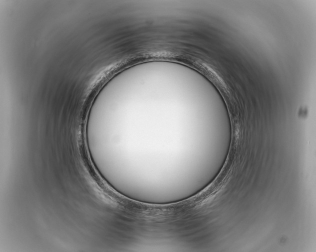 X0000090700725200707200928