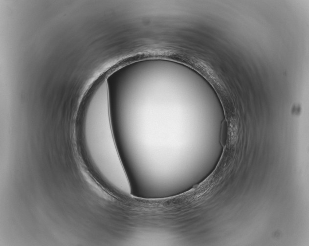 X0000090700726200707200928
