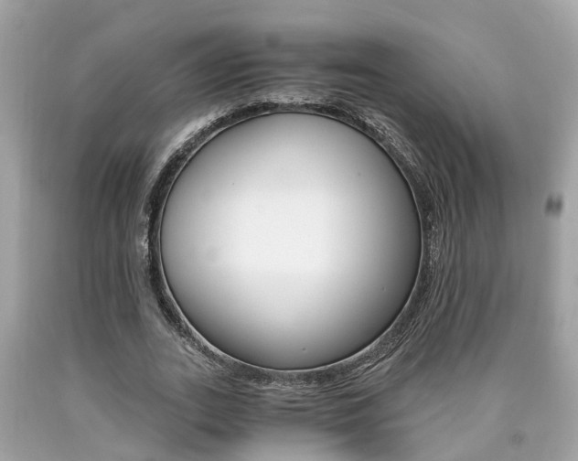 X0000090700727200707200928