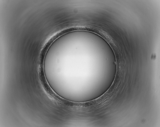 X0000090700728200707200928