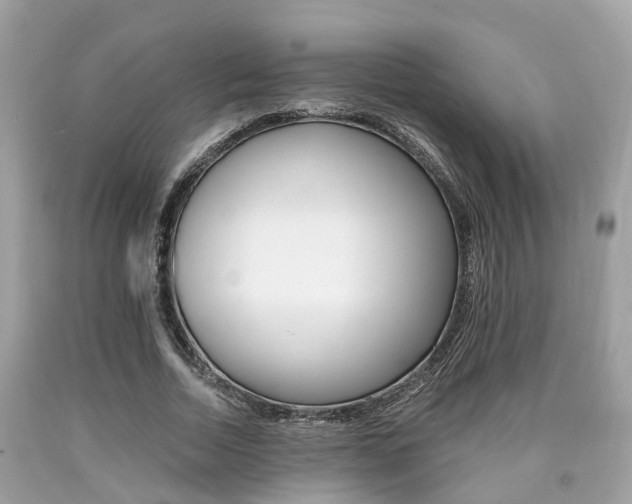 X0000090700730200707200928