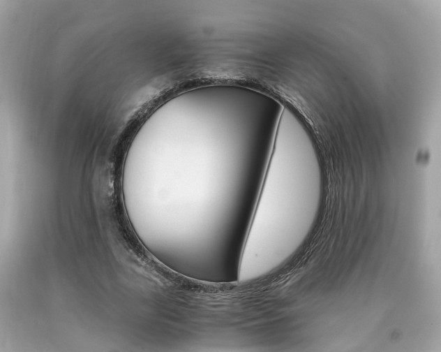X0000090700731200707200928