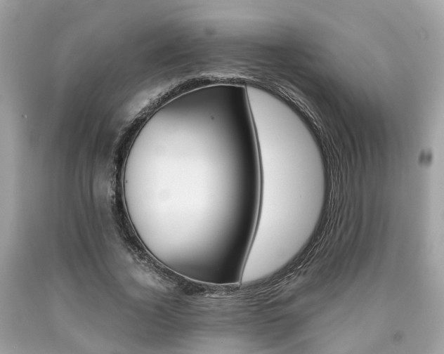 X0000090700732200707200928