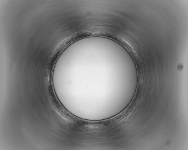 X0000090700733200707200928