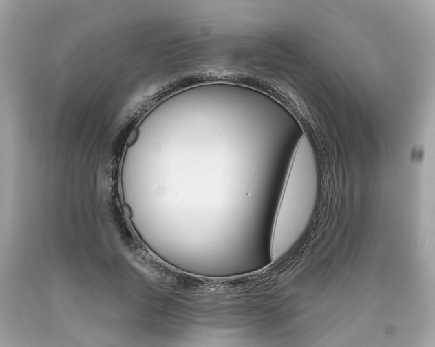 X0000090700736200707200928