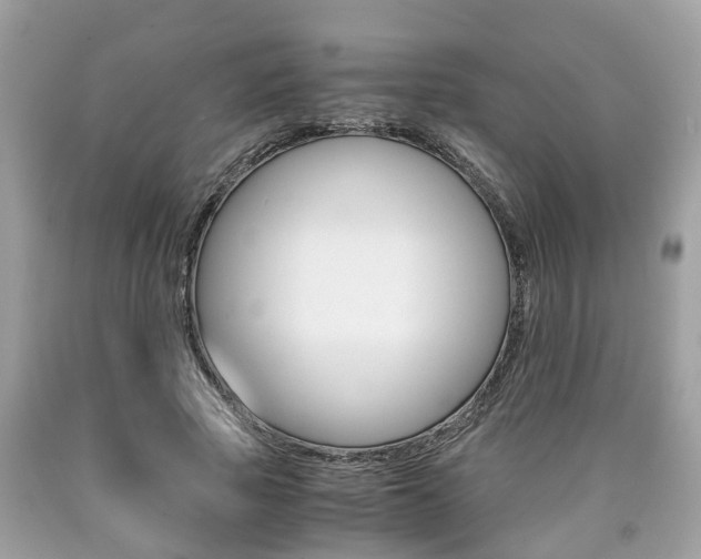 X0000090700737200707200928