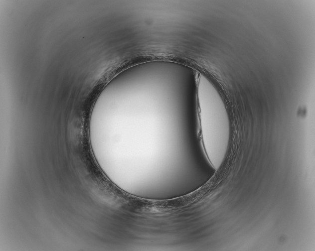X0000090700739200707200928