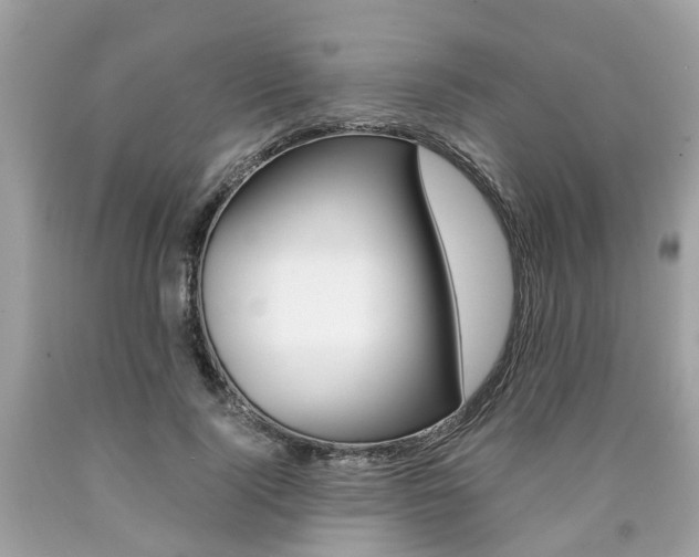 X0000090700740200707200928