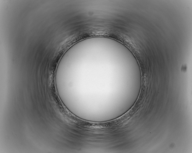 X0000090700741200707200928