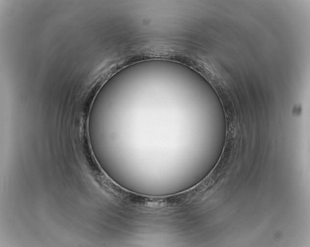 X0000090700744200707200928