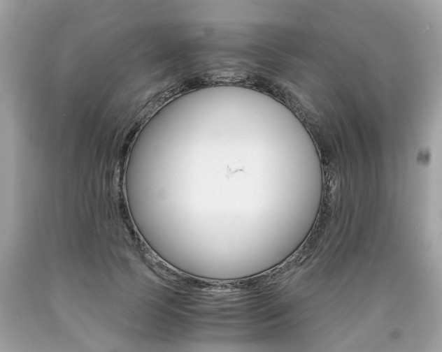 X0000090700745200707200928