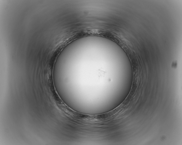 X0000090700747200707200928