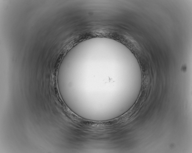 X0000090700749200707200928