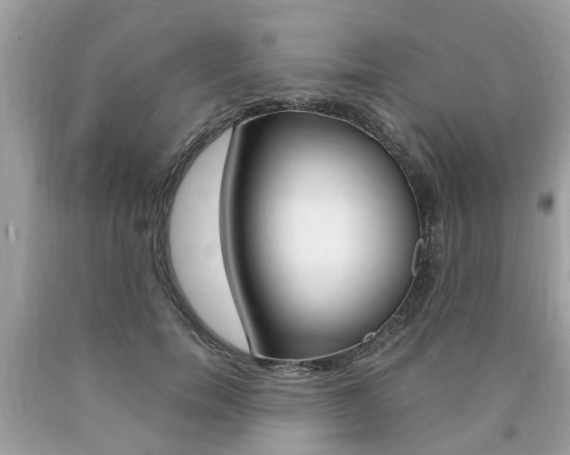 X0000090700750200707200928