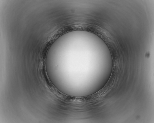 X0000090700751200707200928