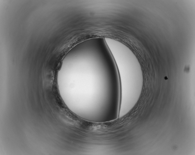 X0000090700752200707200928