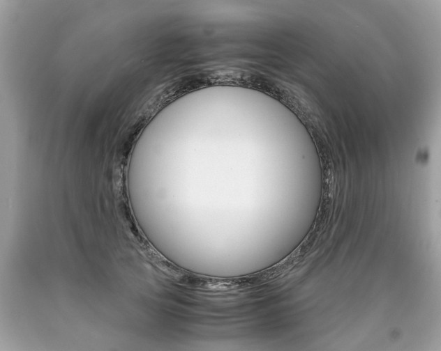 X0000090700753200707200928