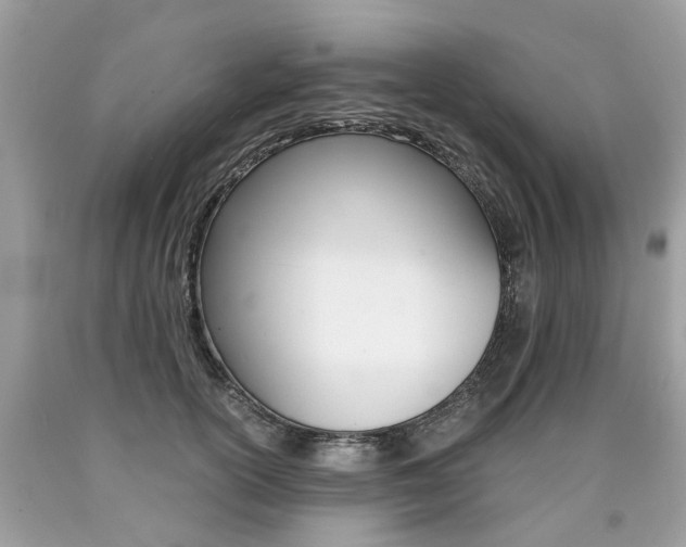 X0000090700754200707200928