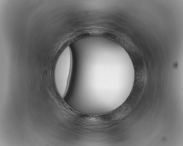 X0000090700755200707200928